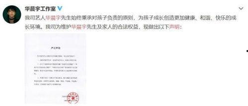 娱乐圈吃瓜的观后感,揭秘明星背后的真相与争议